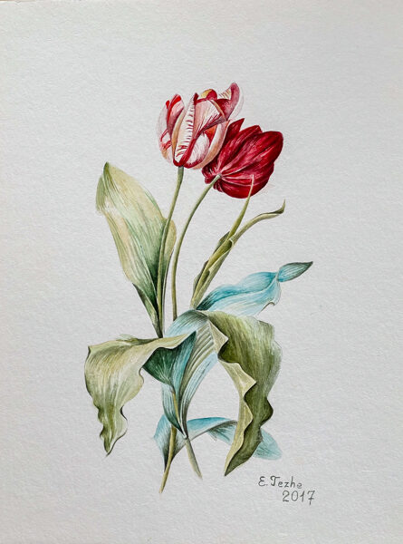 Elena Tezhe, "Tulips", 2017